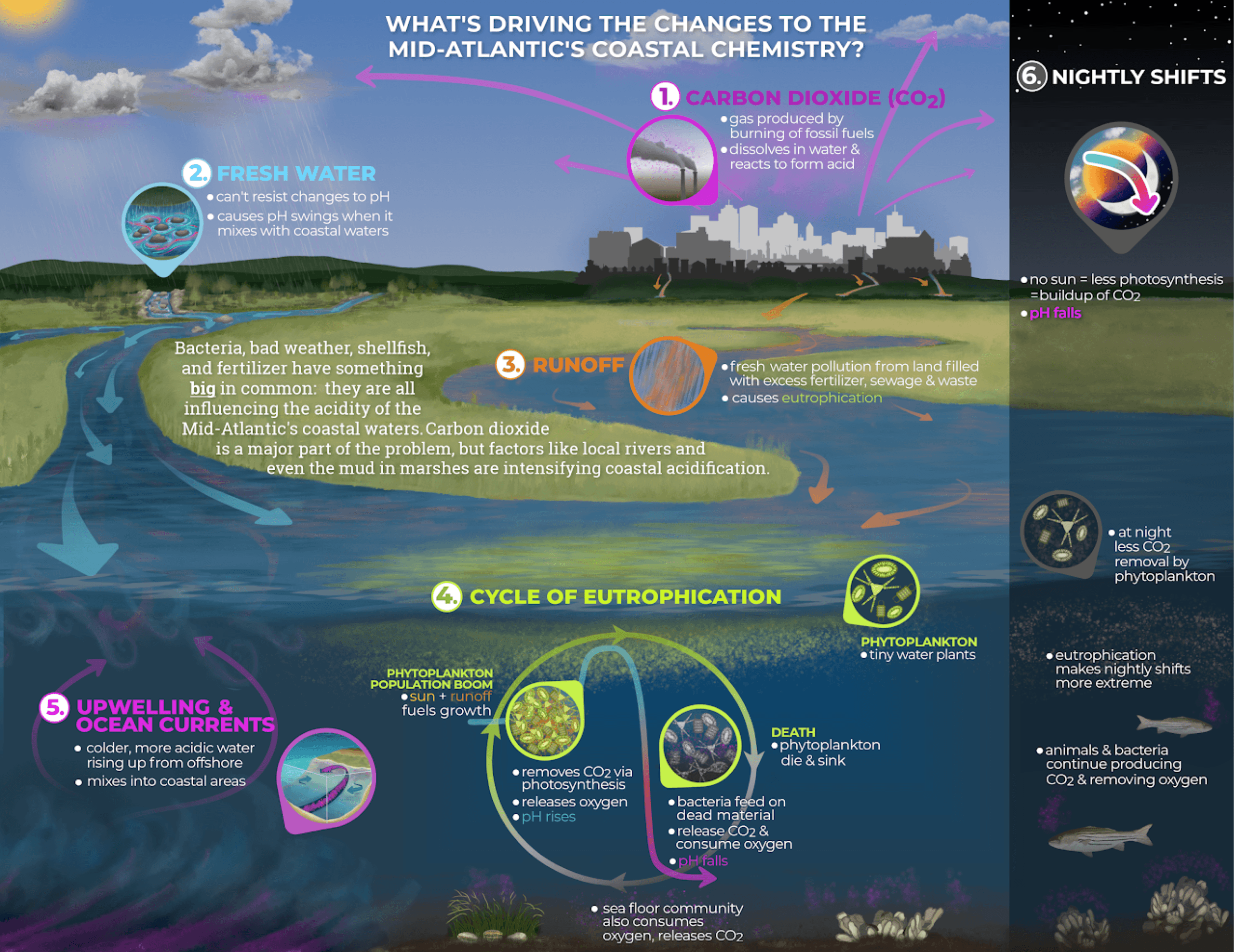 Macan-WhatIsAcidification-Gallery-Image01